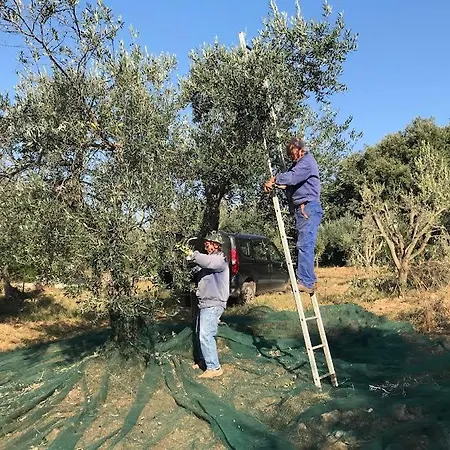 Wine Glamping Le Sedici * Massa Marittima