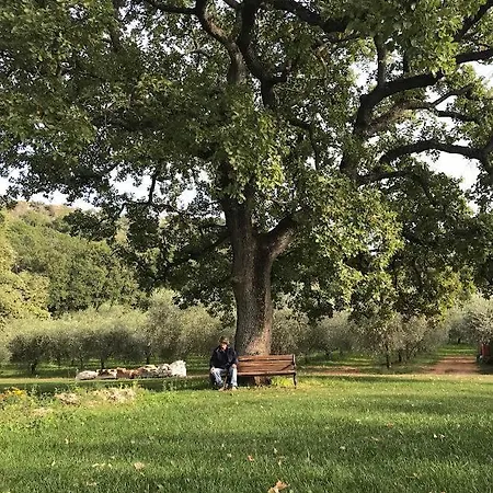 Luxury tent Wine Glamping Le Sedici Massa Marittima