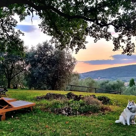 Luxury tent Wine Glamping Le Sedici Massa Marittima