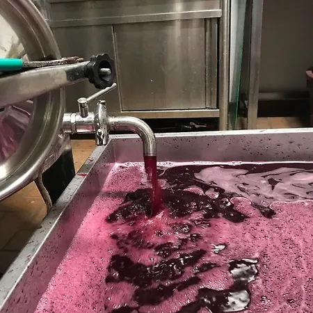 Wine Glamping Le Sedici מאסה מריטימה