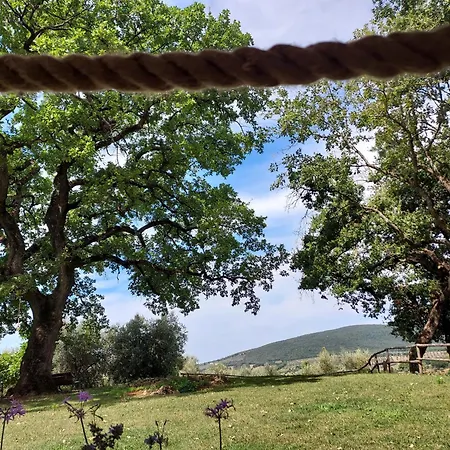 Wine Glamping Le Sedici