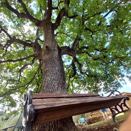 אוהל מפואר Wine Glamping Le Sedici מאסה מריטימה