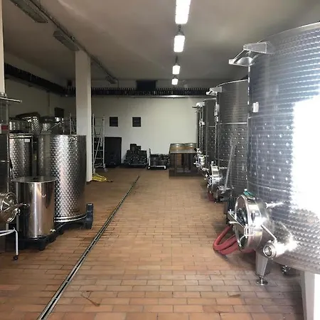 אוהל מפואר Wine Glamping Le Sedici מאסה מריטימה